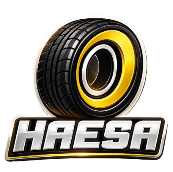 Grupo HAESA